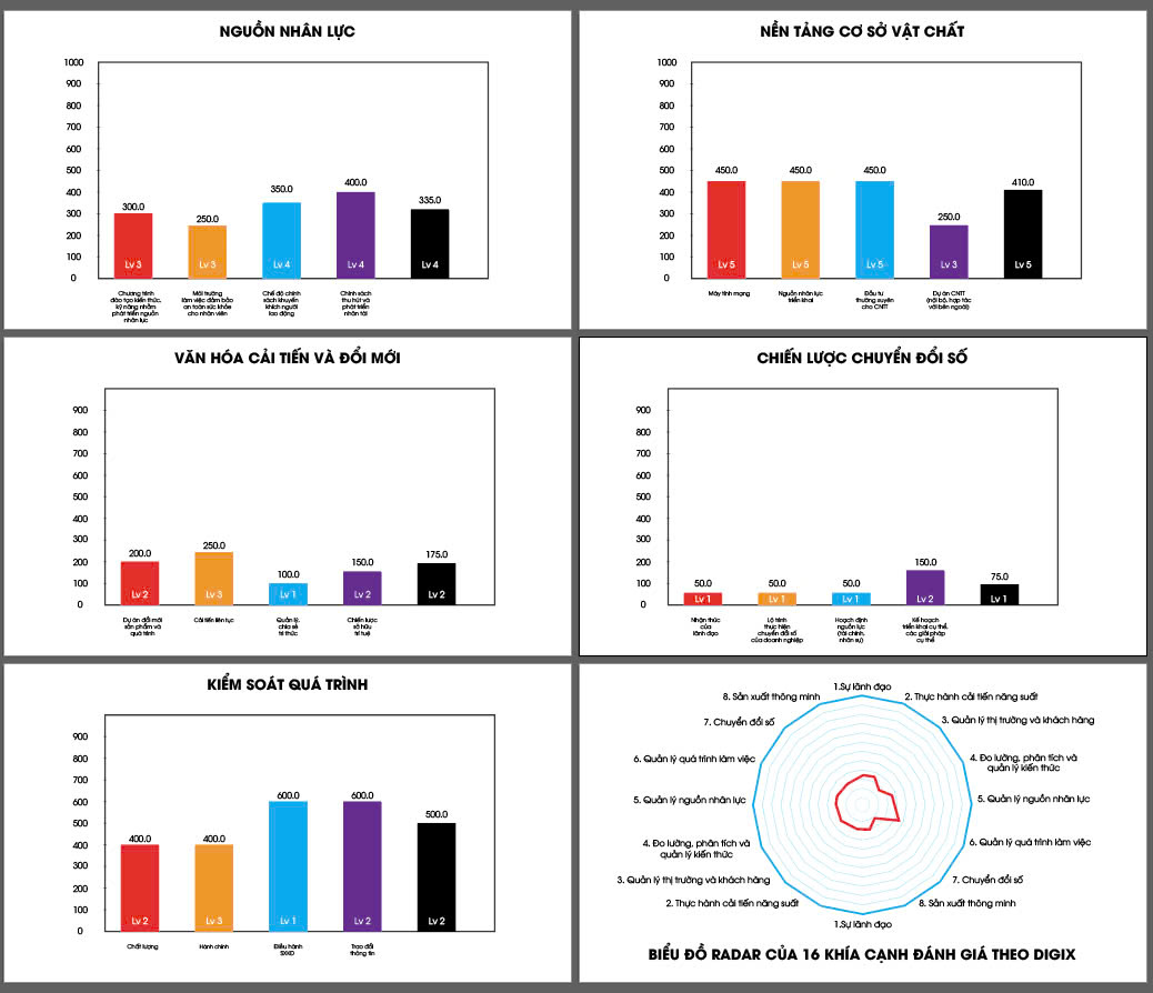 danh-gia-tinh-san-sang-chuyen-doi-so-digix